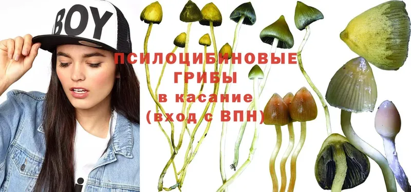 дарнет шоп  Барабинск  Галлюциногенные грибы Magic Shrooms 